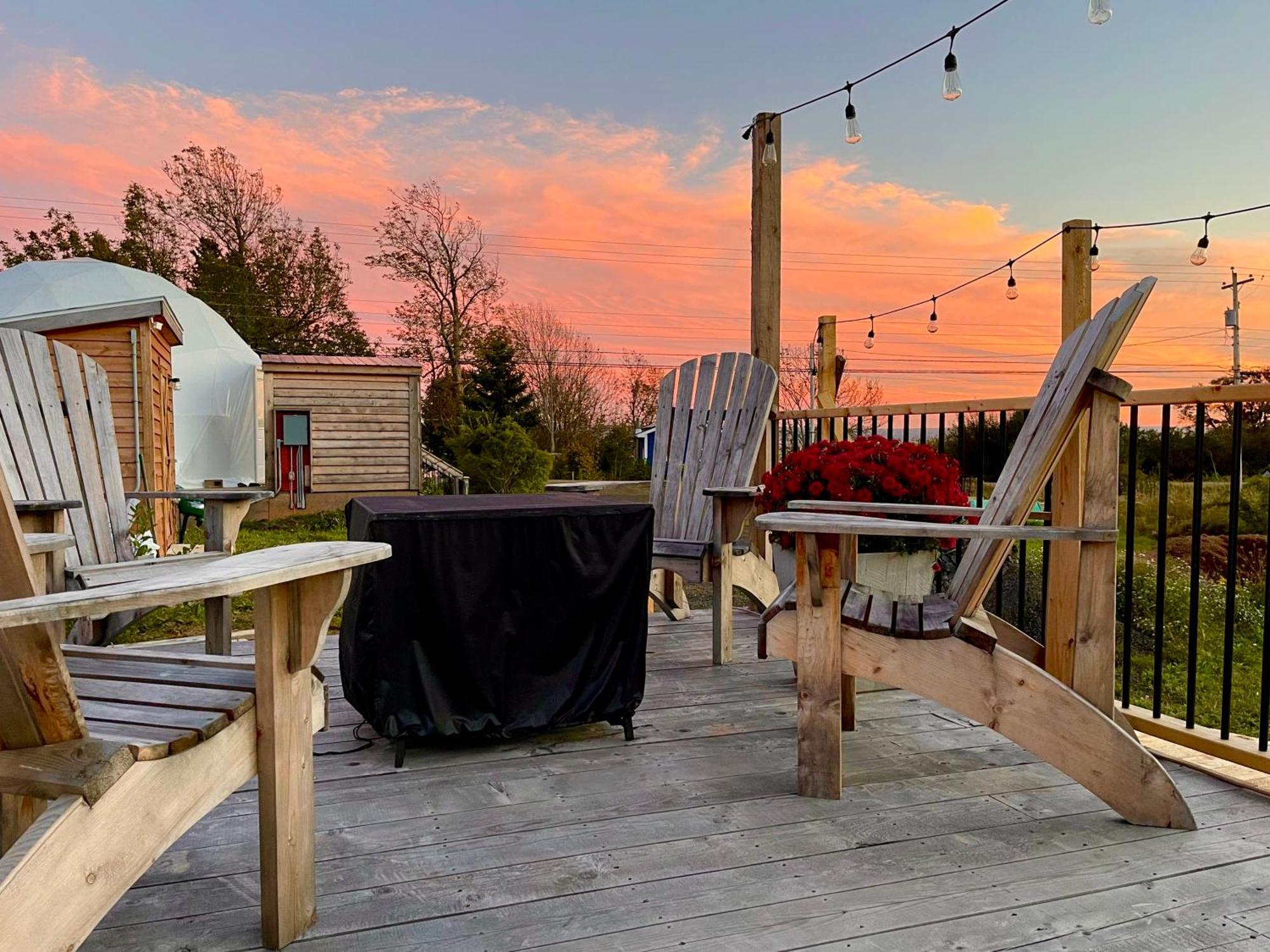 Victoria BeachPort Wade Glamping Domes别墅 外观 照片